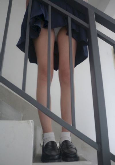 长公主驾到电视剧全集免费观看
